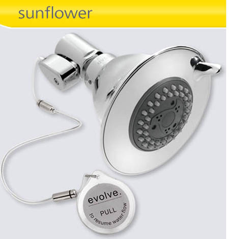 Evolve Showerhead