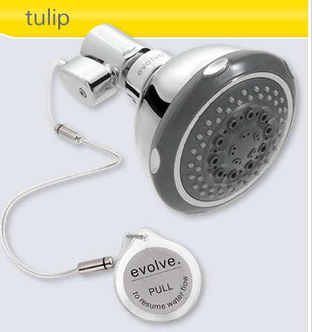 Evolve Showerhead