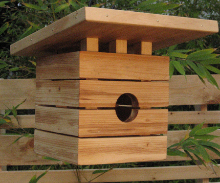  Modern House on Show Some Care For Your Bird With A Bird House   Igreenspot