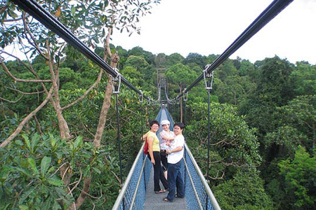 Telok Blangah Hill Park