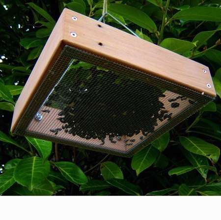 Bird Feeder with Tray