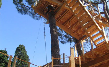 Abitalbero Tree Houses