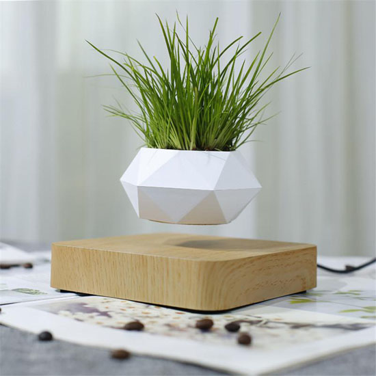 AIRSAI Floating Plant Holder Brings Magic and Greenery In The Room