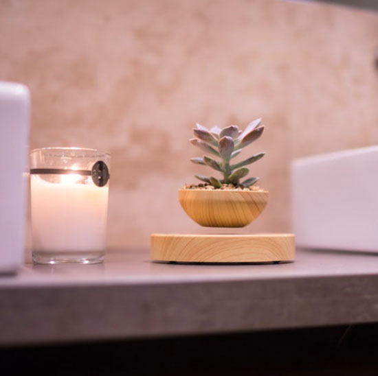 AIRSAI Floating Plant Holder Brings Magic and Greenery In The Room