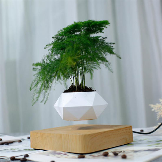 AIRSAI Floating Plant Holder Brings Magic and Greenery In The Room