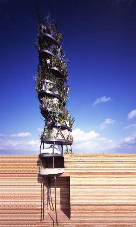 Asakusa Tree Home