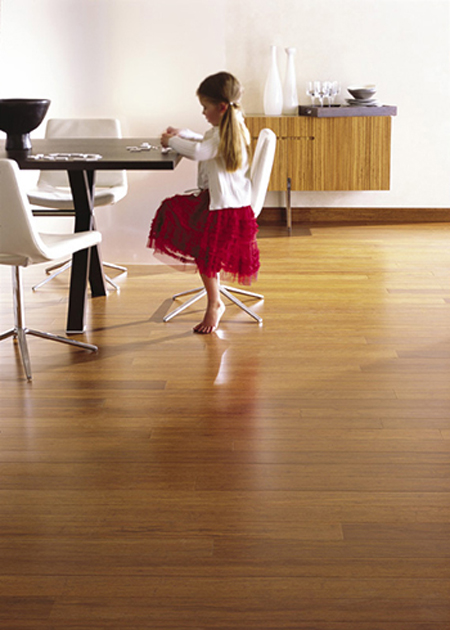 Bamboo Flooring