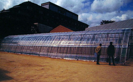 Bamboo Greenhouse