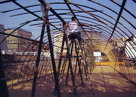 Bamboo Greenhouse