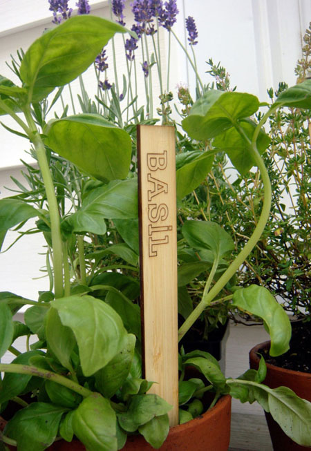 Bamboo Herb Marker