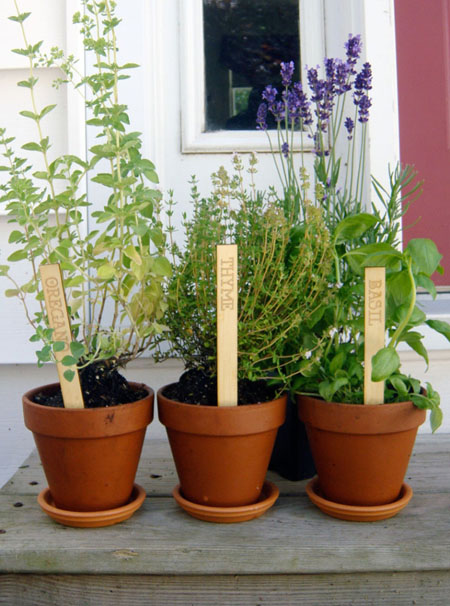 Bamboo Herb Marker