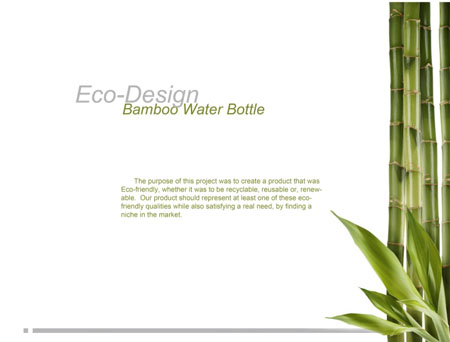 Bamboo Water Bottle