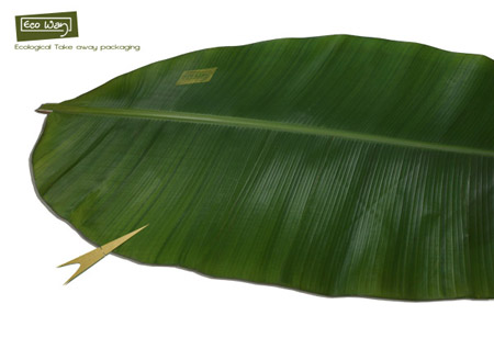 banana leaf packaging