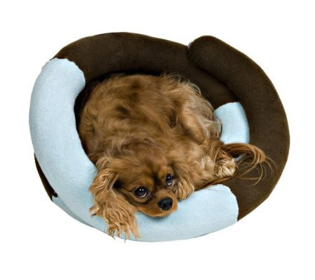 bella pet beds