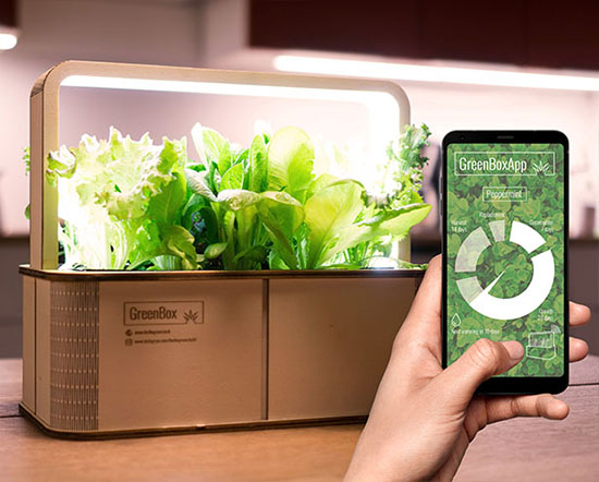 BerlinGreen GreenBox Smart Mini Indoor Garden