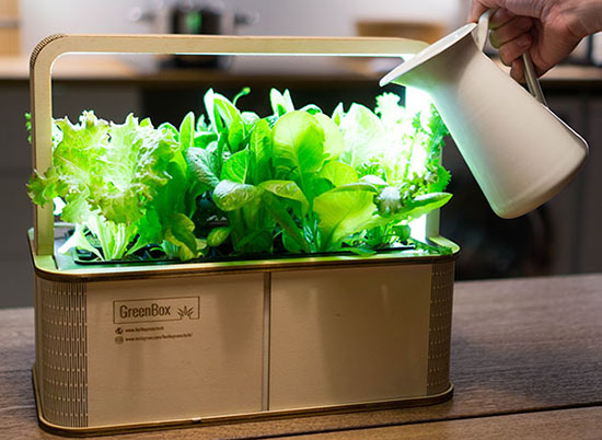 BerlinGreen GreenBox Smart Mini Indoor Garden