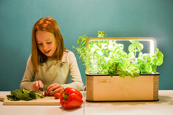 BerlinGreen GreenBox Smart Mini Indoor Garden