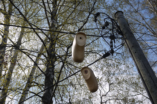 Bird-shoe-house Project