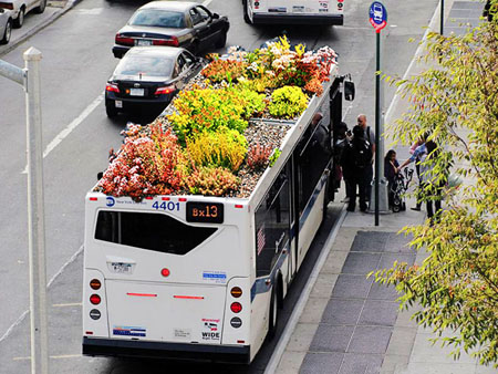 Bus Roots