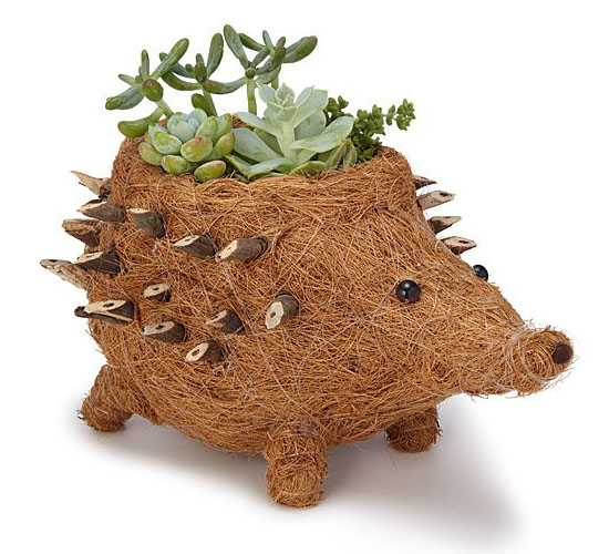 Coconut Fiber Hedgehog Planter