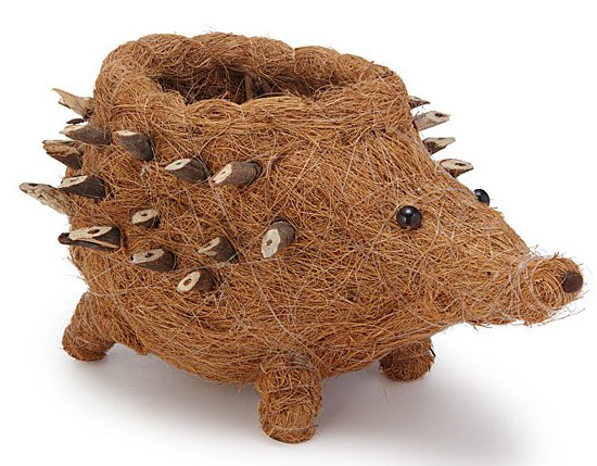 Coconut Fiber Hedgehog Planter