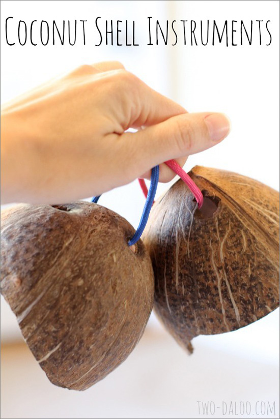 Coconut Shell Use