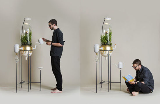 Drop by Drop - A Plant based water filtration system That Works just like Mini Amazon Rainforest by Pratik ghosh