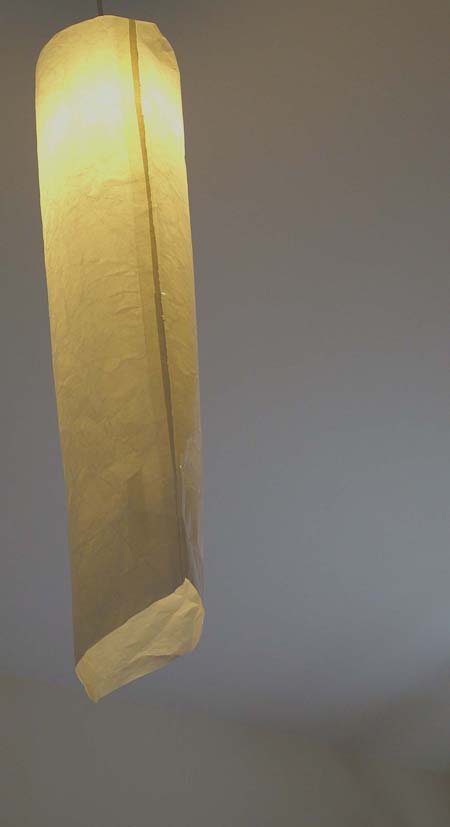 Eco Lampshade by Sam Dempsey