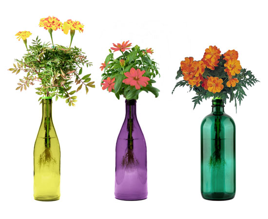 Edible Flowers â€“ Bottle Garden Kit