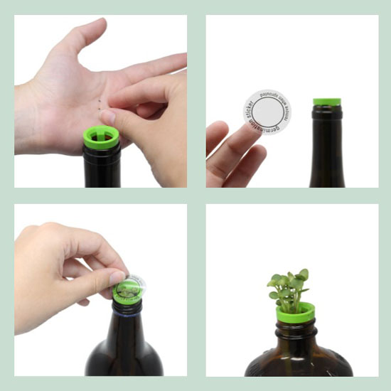 Edible Flowers â€“ Bottle Garden Kit