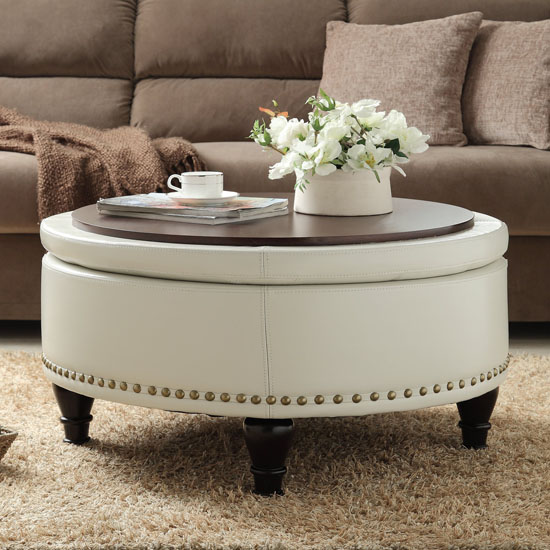 Ellen Eco Leather Storage Ottoman by Darby Home