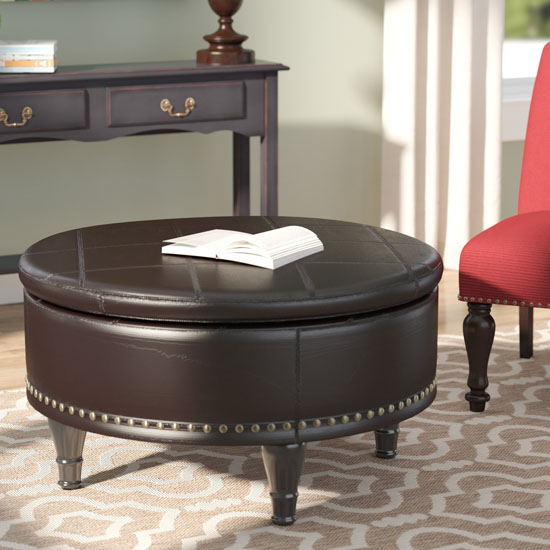 Ellen Eco Leather Storage Ottoman by Darby Home