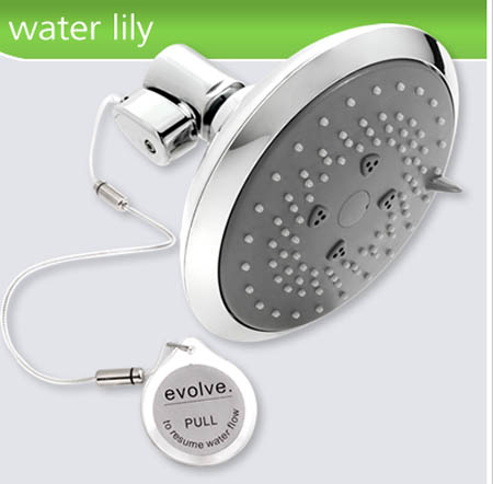 Evolve Showerhead