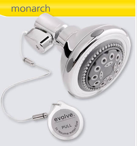 Evolve Showerhead