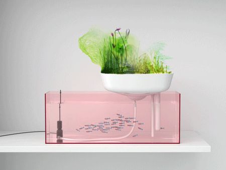 Floating Garden