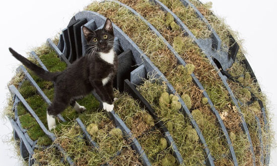 Flora-Gato Cat Shelter from Recycled Plastic â€“ Arktura Architects for Animals