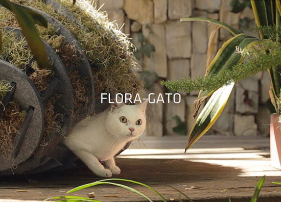 Flora-Gato Cat Shelter from Recycled Plastic â€“ Arktura Architects for Animals