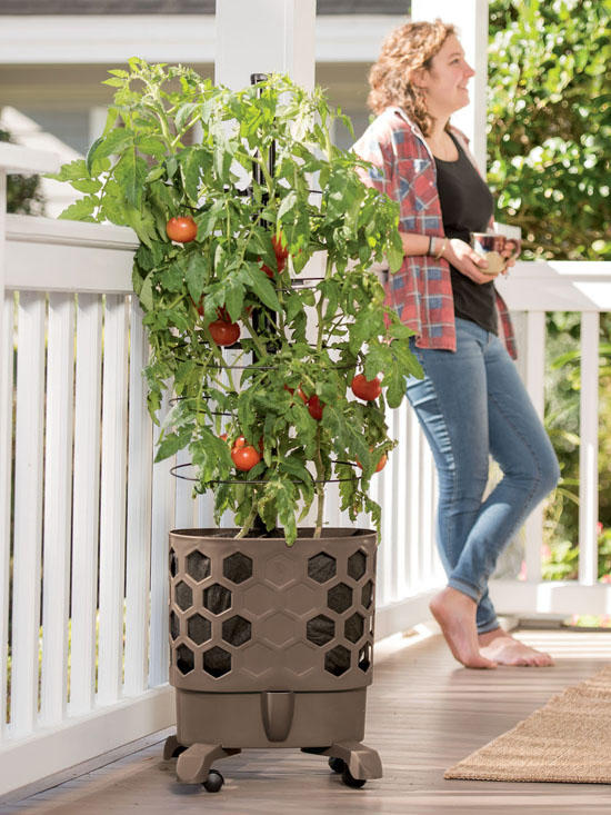 Gardener's Revolution Tomato Garden