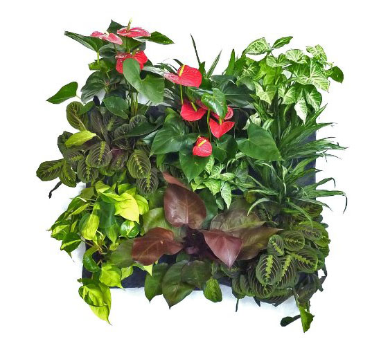 Green Field Eco-Friendly Vertical Garden Wall Planter