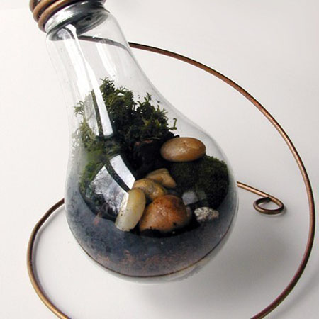 Green Terrarium