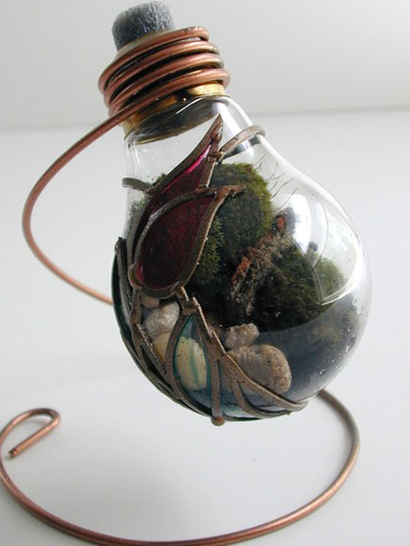 Green Terrarium