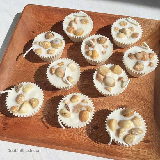 Homemade Natural Macadamia Fire Starters by Double Brush - Gift for Green Conscious Outdoor Enthusiasts