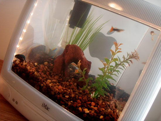 iMacquarium Fish Tank