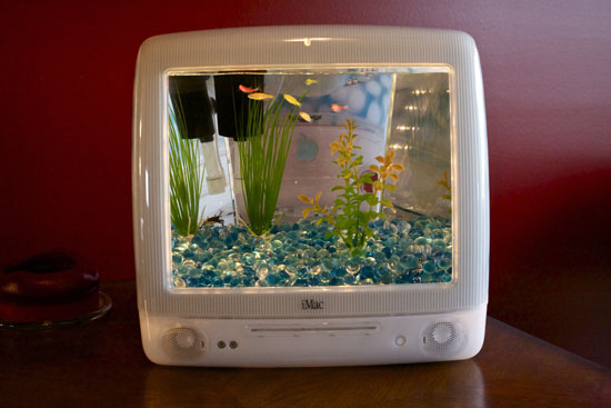 iMacquarium Fish Tank