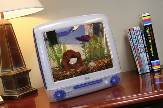 iMacquarium Fish Tank