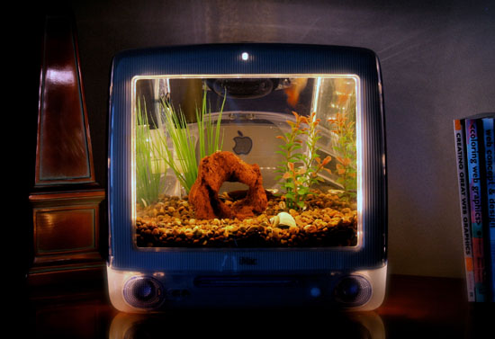 iMacquarium Fish Tank