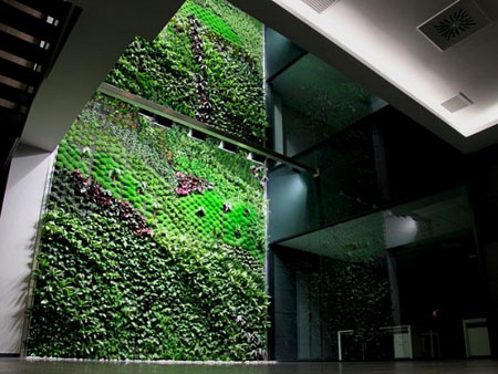 Indoor Vertical Garden