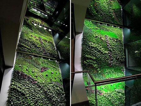 Indoor Vertical Garden