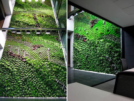 Indoor Vertical Garden