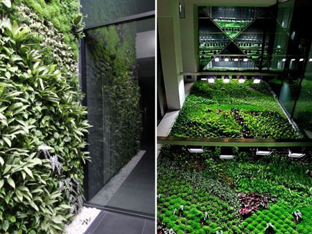 Indoor Vertical Garden